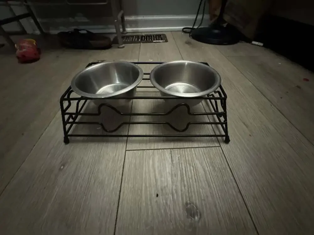 Vibrant Life Elevated Dog Cat Metal Diner with Stainless Steel Bowls